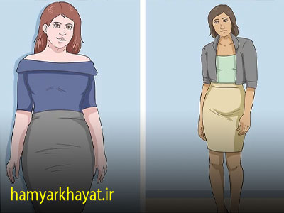 اندام ساعت شنی شکل چیست