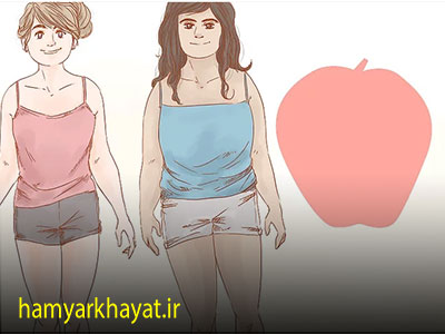 آشنایی با اندام سیبی شکل